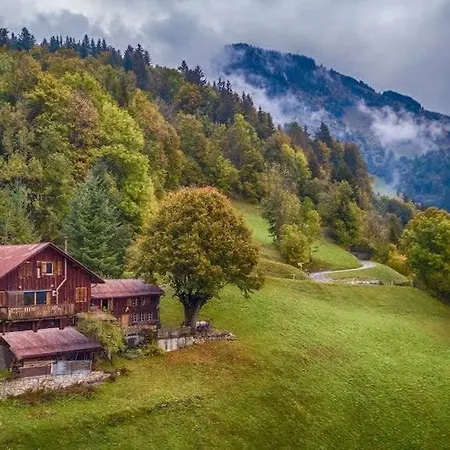 Heidi - Panoramic View - Modern Part Apartman Rossinière